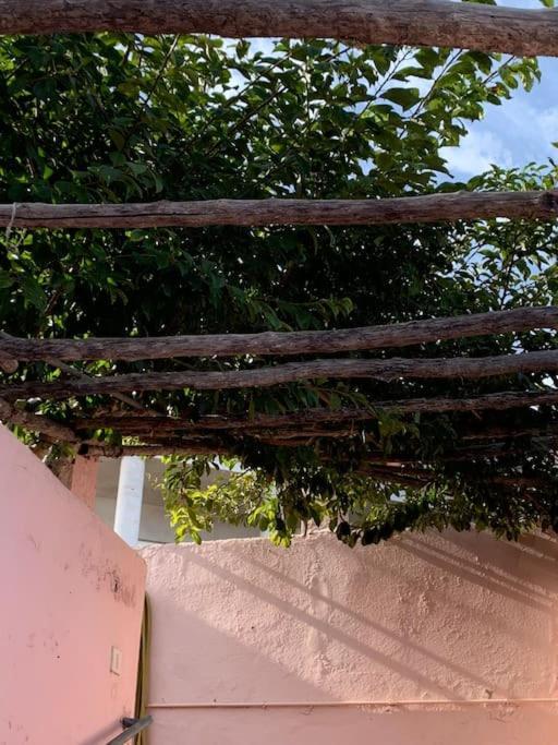 Paz Y Relax En Santa Barbara 110 Villa Icod De Los Vinos Ngoại thất bức ảnh
